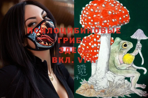ГАЛЛЮЦИНОГЕННЫЕ ГРИБЫ Беломорск