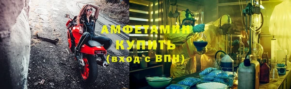 PSILOCYBIN Белокуриха